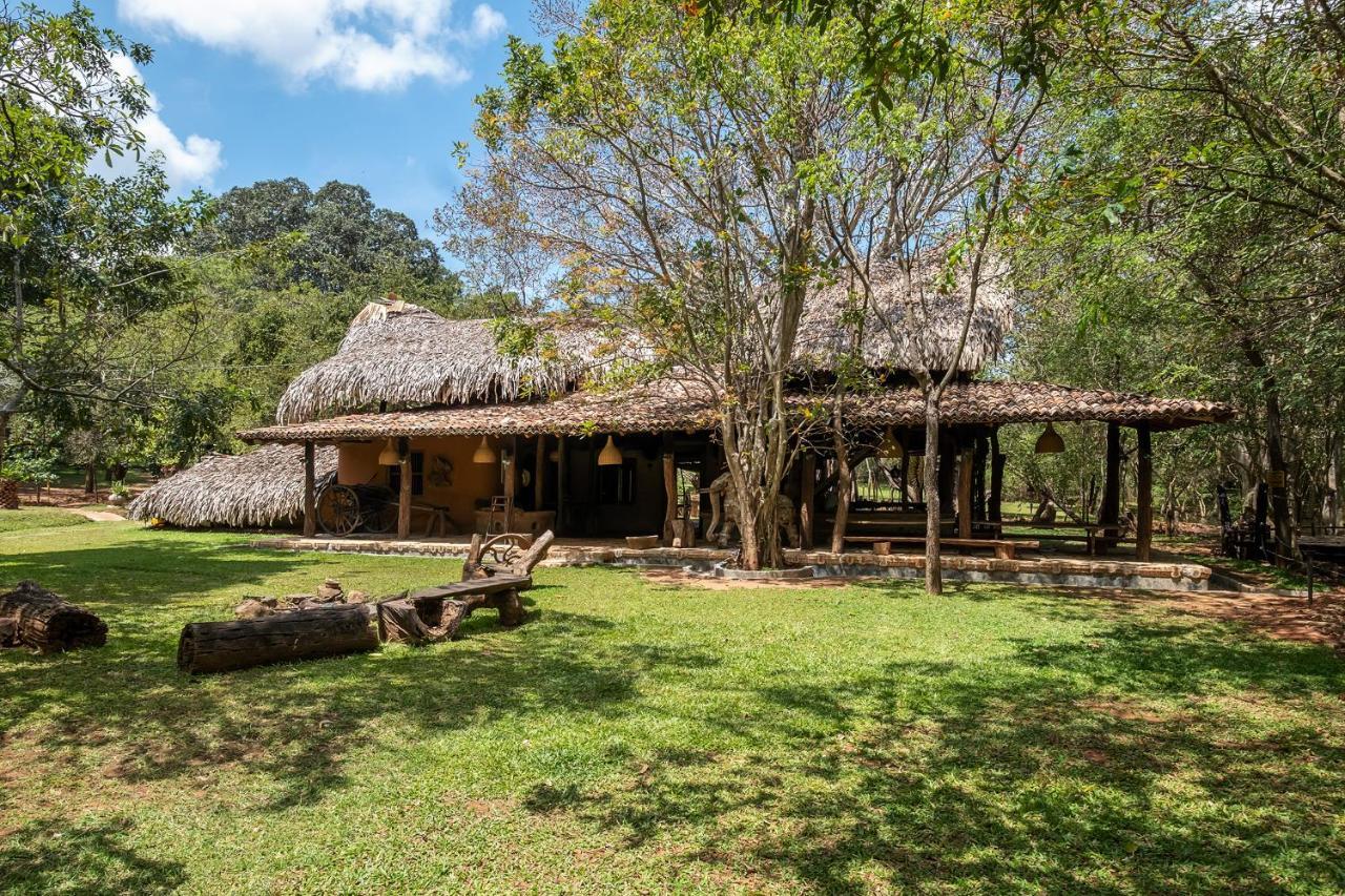 Banyan Camp Villa Hambegamuwa Eksteriør billede