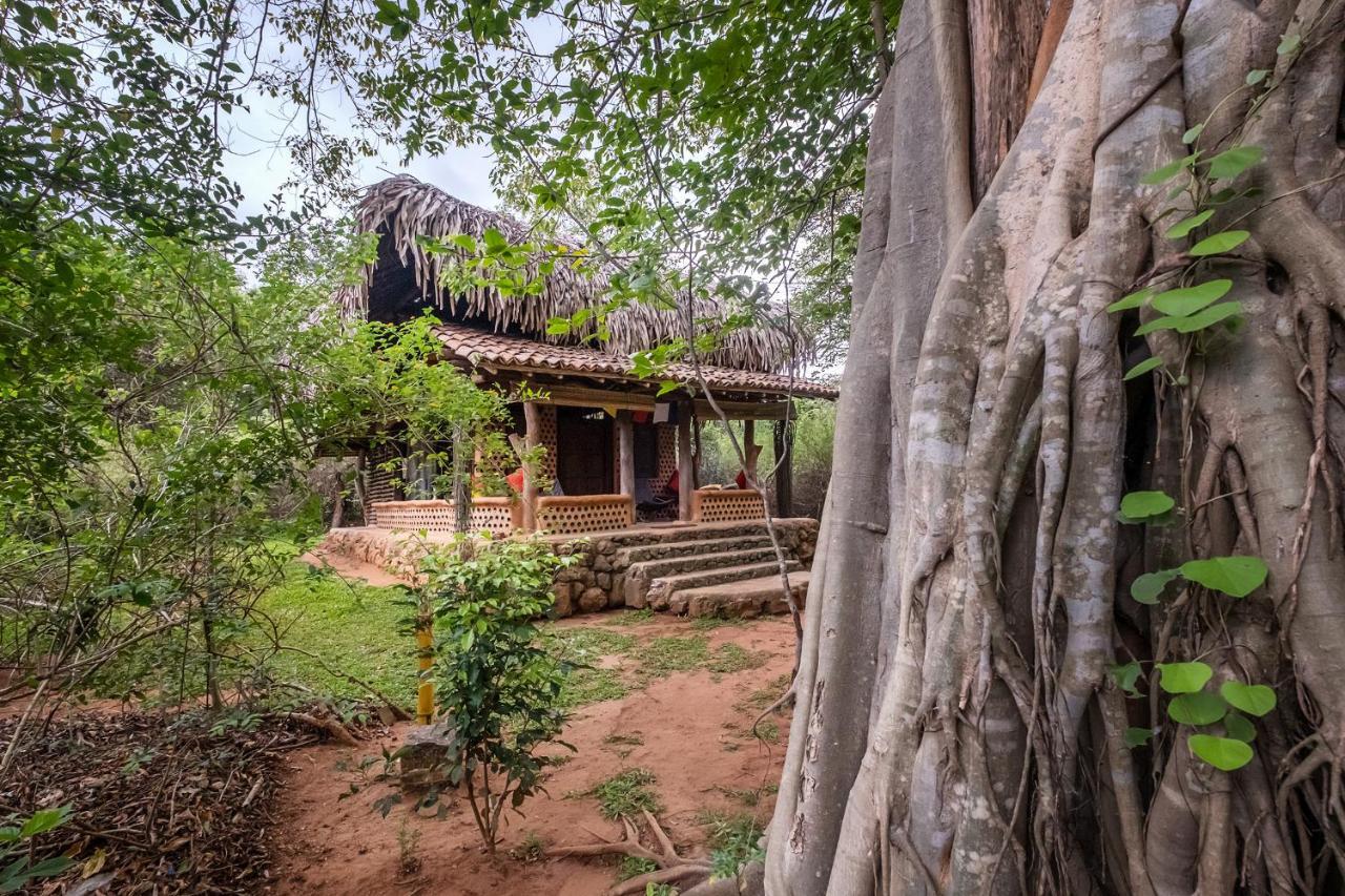 Banyan Camp Villa Hambegamuwa Eksteriør billede