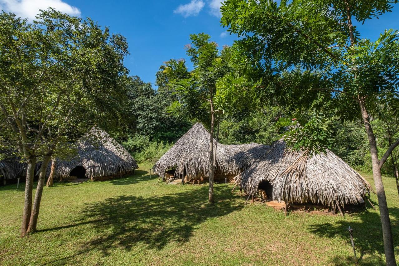 Banyan Camp Villa Hambegamuwa Eksteriør billede