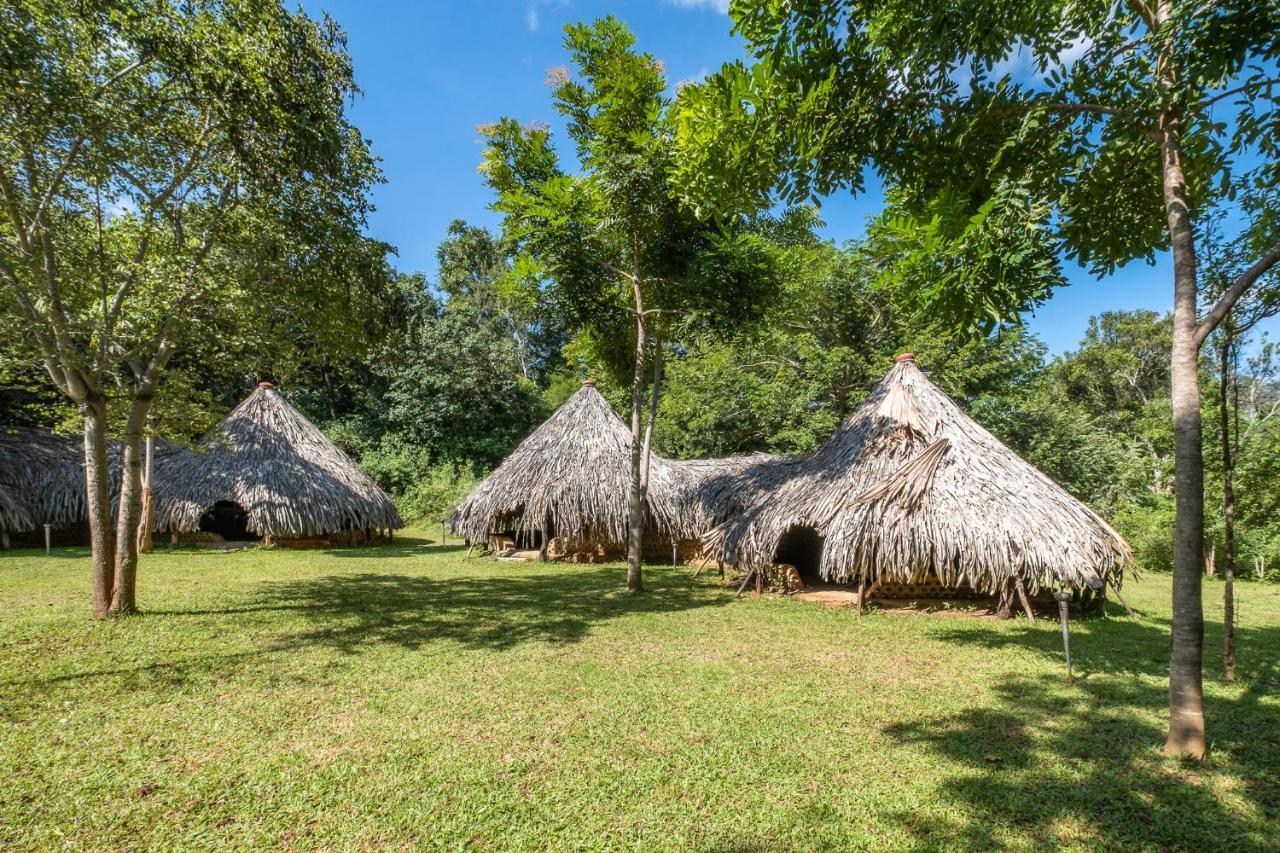 Banyan Camp Villa Hambegamuwa Eksteriør billede