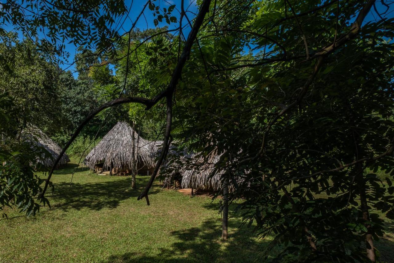 Banyan Camp Villa Hambegamuwa Eksteriør billede